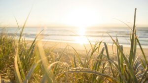 Mehr über den Artikel erfahren Urlaubszeit und Wartungsarbeiten bei OSSTEC