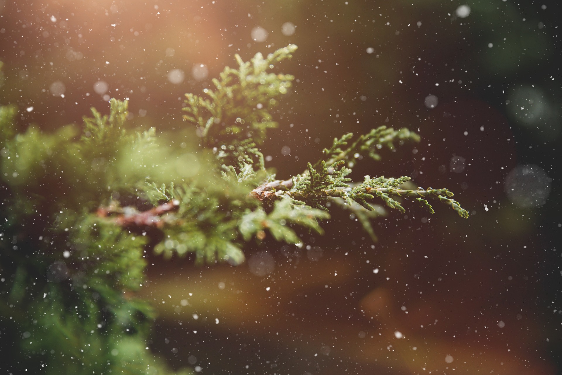 Sie betrachten gerade Öffnungszeiten Weihnachten und Jahresende